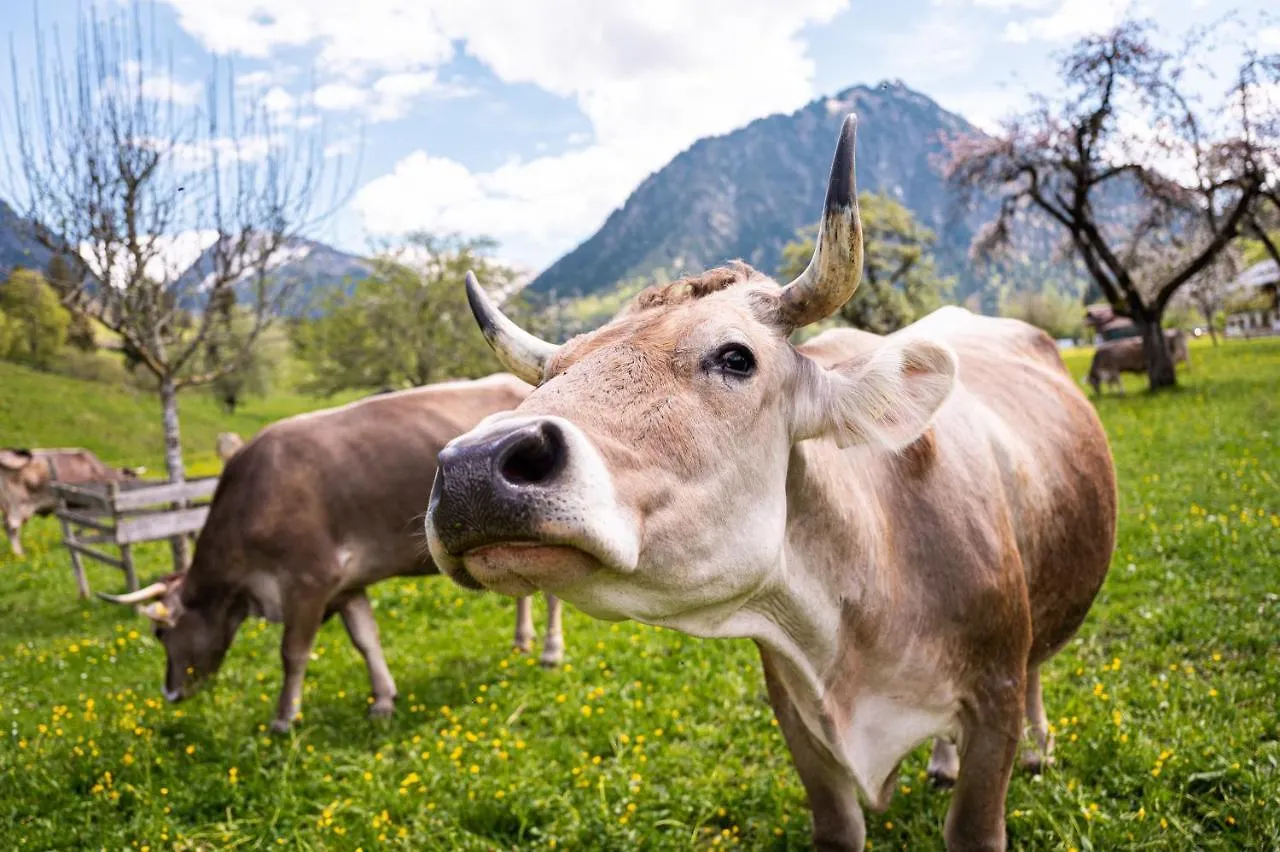 Landhaus Berktold Oberstdorf Almanya