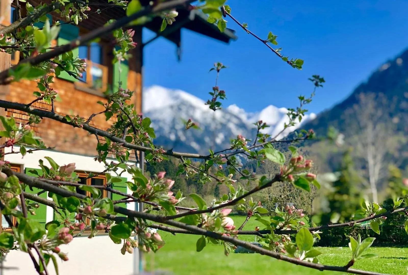 Landhaus Berktold Oberstdorf Daire