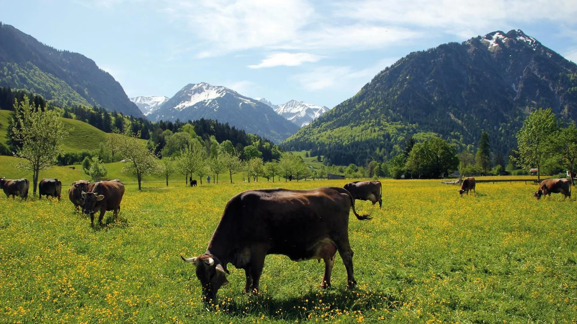 Landhaus Berktold Oberstdorf Apartment