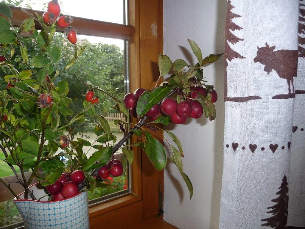 Landhaus Berktold Oberstdorf Apartment